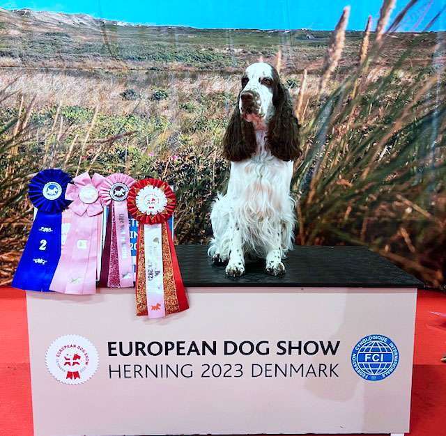 European Dog Show 2023 Herning