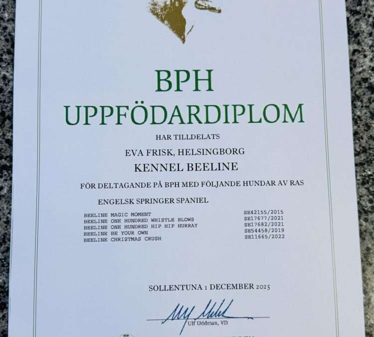 BPH Diplom