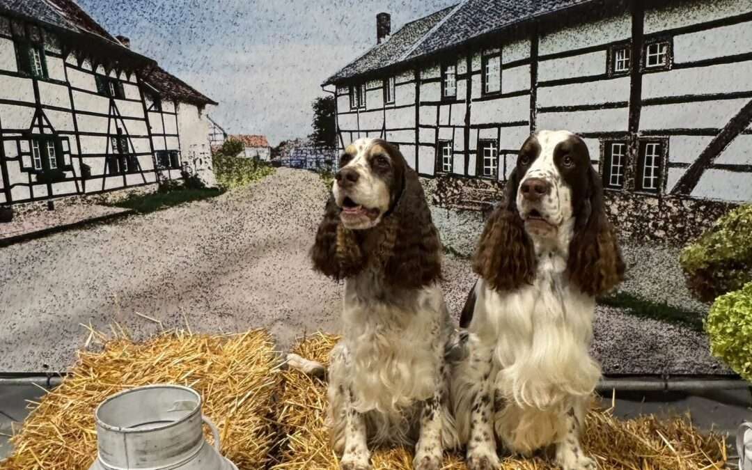 Det regnar titlar!