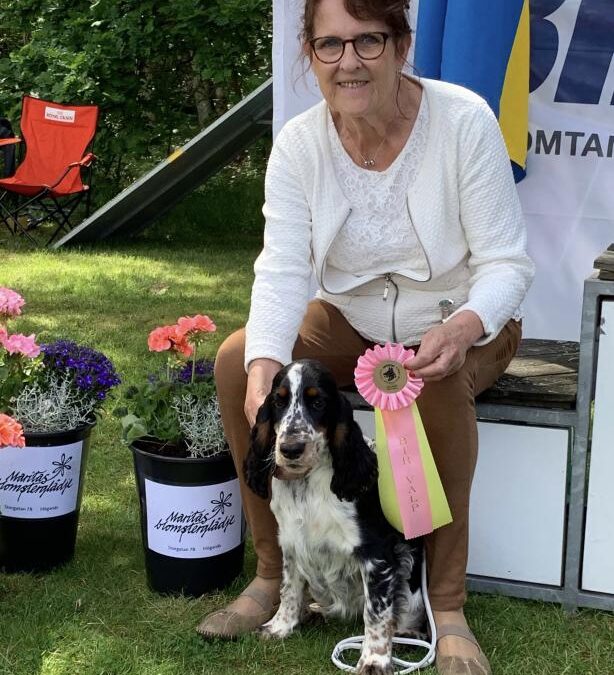 Debut för Russin