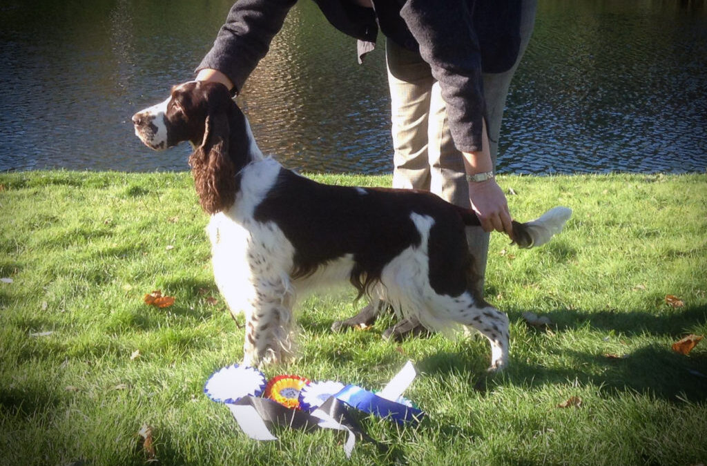 Mindy the winner – igen!