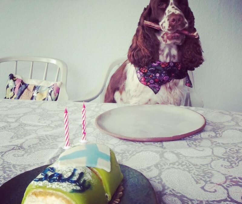 Grattis 2 år och 100!